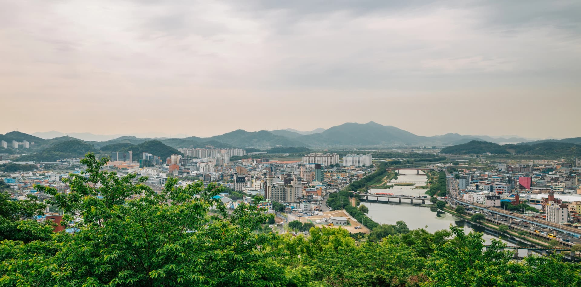 순천사무소 젼경